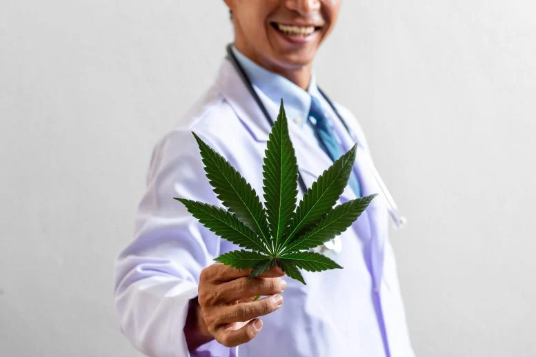 Researchers Discover Cannabis Compounds That May Fight Obesity Without the High