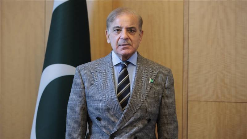 PM Shehbaz calls for unity, peace in Hajj message