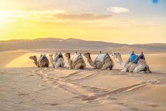 Morocco wants tourists to visit Western Sahara