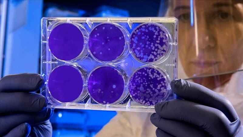 Samples from Italian man with suspected hantavirus sent to hospital: Report