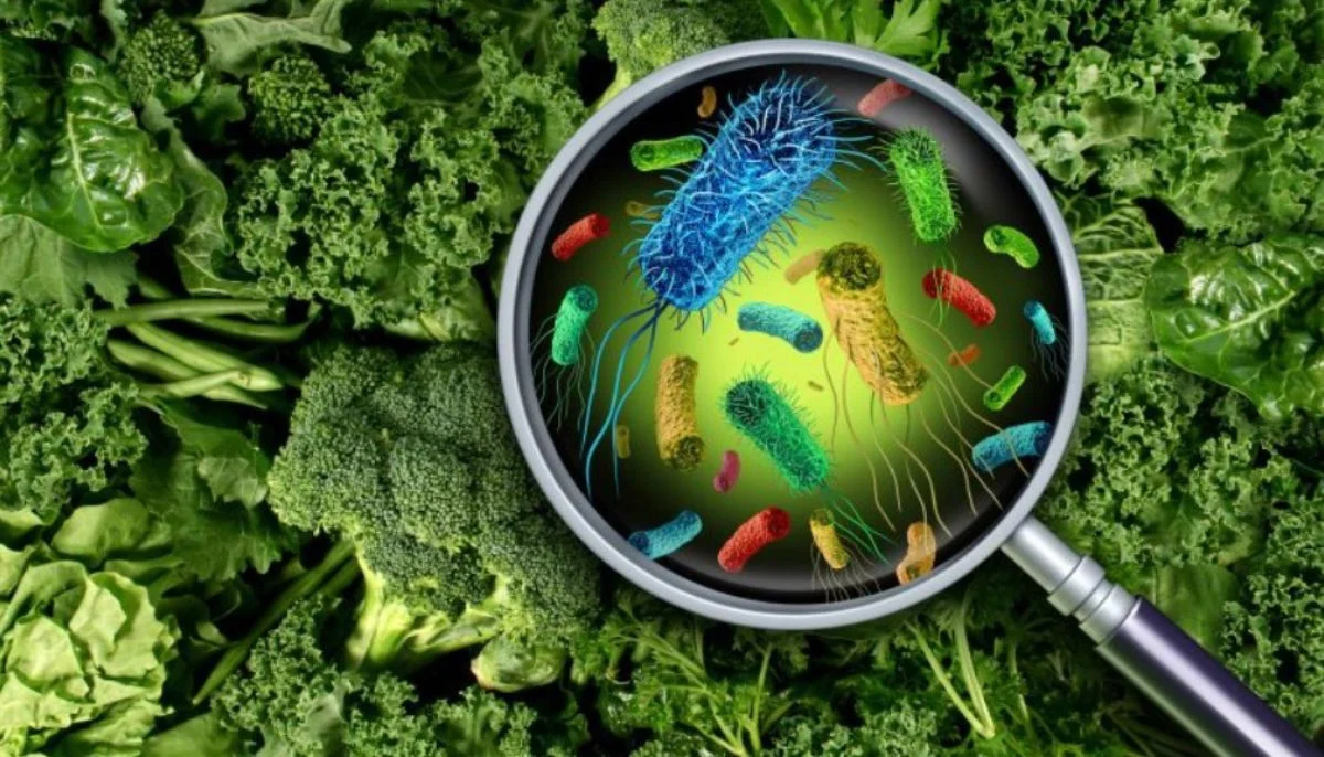 Scientists identify cancer-linked chemicals in everyday foods