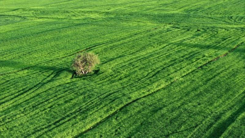 Only 4% of climate finance directed to agricultural resilience despite mounting heat risks: FAO