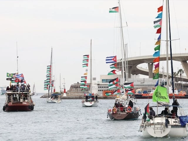 Arab, Muslim states condemn Ben-Gvir over flotilla detainees