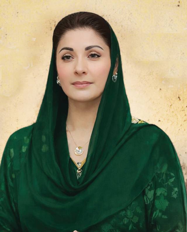 CM Maryam orders strict enforcement of ban on hide collection by banned outfits