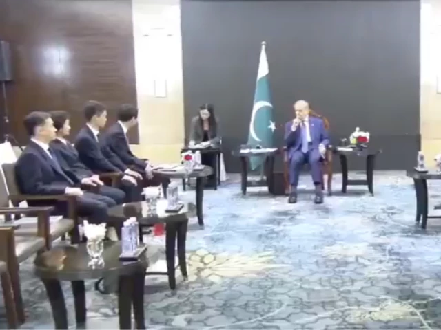 PM Shehbaz meets top Chinese firms to boost CPEC Phase II partnerships