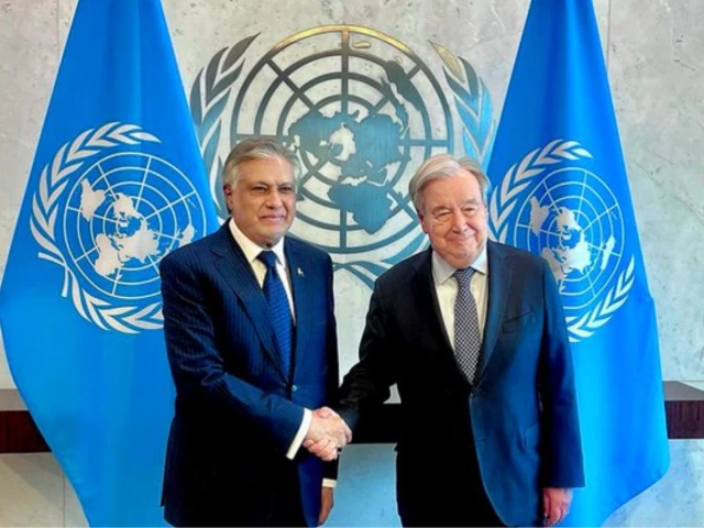 Dar, UN chief discuss regional conflicts, UN reform in New York